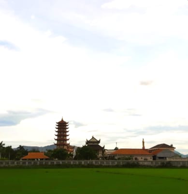 Chùa Long Phước nằm sát cạnh những cánh đồng lúa Tuy Phước , Bình Định